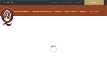 Tablet Screenshot of beagleclubqld.org